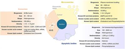 Insights Into Extracellular Vesicles as Biomarker of NAFLD Pathogenesis